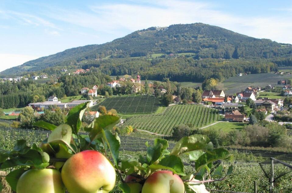 Die Steirische Apfelstrasse - Impression #1 | © Tourismusverband Oststeiermark